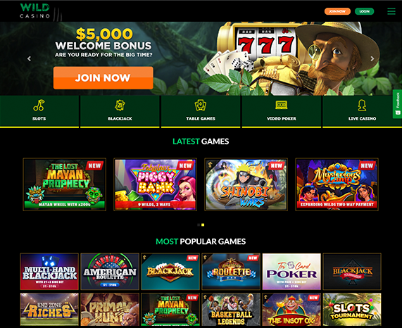 WildCasino Wildcasino